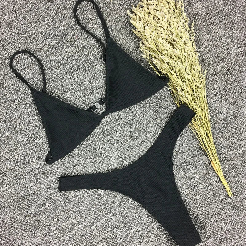 Maillot de Bain 2 Pièces Noir Bikini 2024 Sexy affiché sur un fond gris avec un bouquet d'herbes séchées ajoutant une touche esthétique naturelle, conçu pour toutes les morphologies par BREEZE BEEZ.